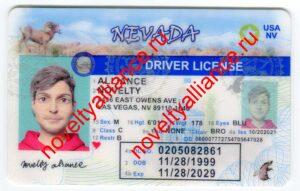 NEVADA OLD