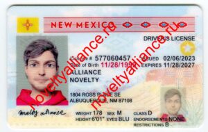 NEW MEXICO OLD