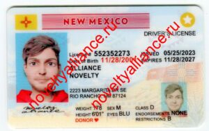 NEW MEXICO NEW